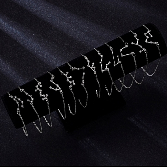 Zodiac Constellation (CAPRICORN) Necklace - Picture 3 of 6